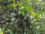 IMG_20260312_161637