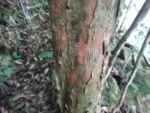 DSC01487