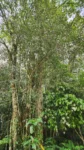 IMG-20231116-WA0018.jpg