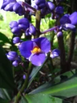 Blumenau, FURB (12)