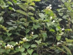 IMG_20260406_123608