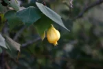 IMG_3593