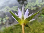 IMG_20260319_102057