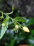 IMG_20220317_093408