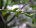 IMG_20220311_163205_1