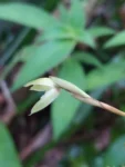 IMG_20210904_160256
