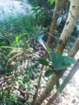 IMG_20250624_143958