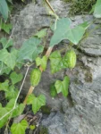 IMG_20230222_161834