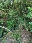 IMG_20260414_092316