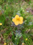 IMG_20241031_112750
