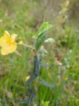 IMG_20241031_114435