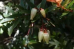 DSC03964_1
