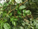 IMG_20260417_102950