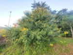 IMG_20260419_174828