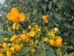 IMG_20260419_174539