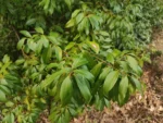 IMG_20260503_161922
