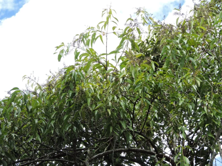 DSCN3901