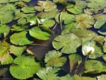 IMG_20260520_144617