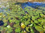 IMG_20260520_144545